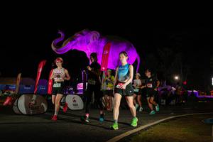 BIB: 
                            <button type="button" onclick="openModal(26534042)" class="btn btn-primary btn-sm float-right btn-popup" data-toggle="modal" data-target=".modal-high-quality">
                        <i class="fas fa-shopping-cart"></i> Add to Cart
                    </button>
                                            <button type="button" onclick="isThisMe(26534042, true)" class="btn btn-success btn-sm float-right btn-popup btn-isme hidden" data-toggle="tooltip" data-placement="bottom" title="นี่คือรูปของคุณใช่ไหม คลิกที่นี่เพื่อเอาเข้าอัลบั้ม">
                        <i class="fas fa-plus"></i> Add to album
                    </button>
                    <button type="button" onclick="isThisMe(26534042, false)" class="btn btn-warning btn-sm float-right btn-popup btn-isnotme hidden">
                        <i class="fas fa-ban"></i> Remove from album
                    </button>